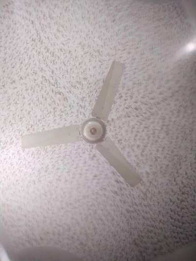 Paidestle fan