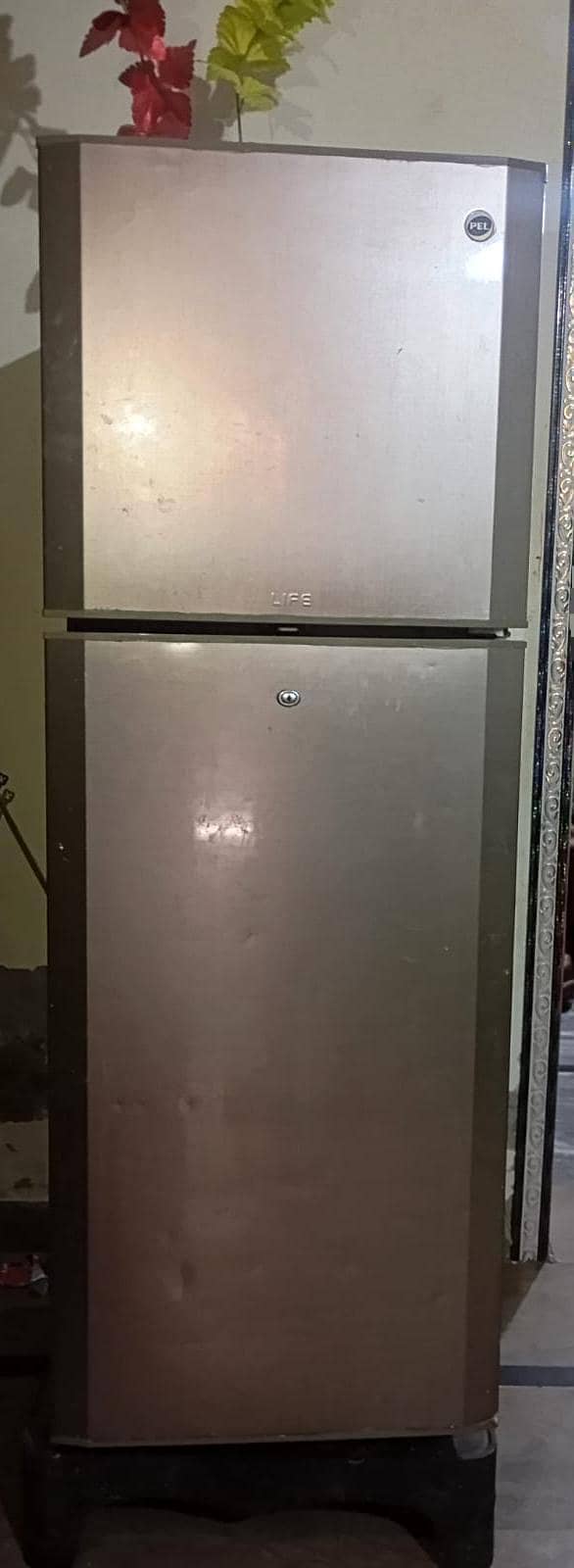 PEL REFRIGERATOR 1