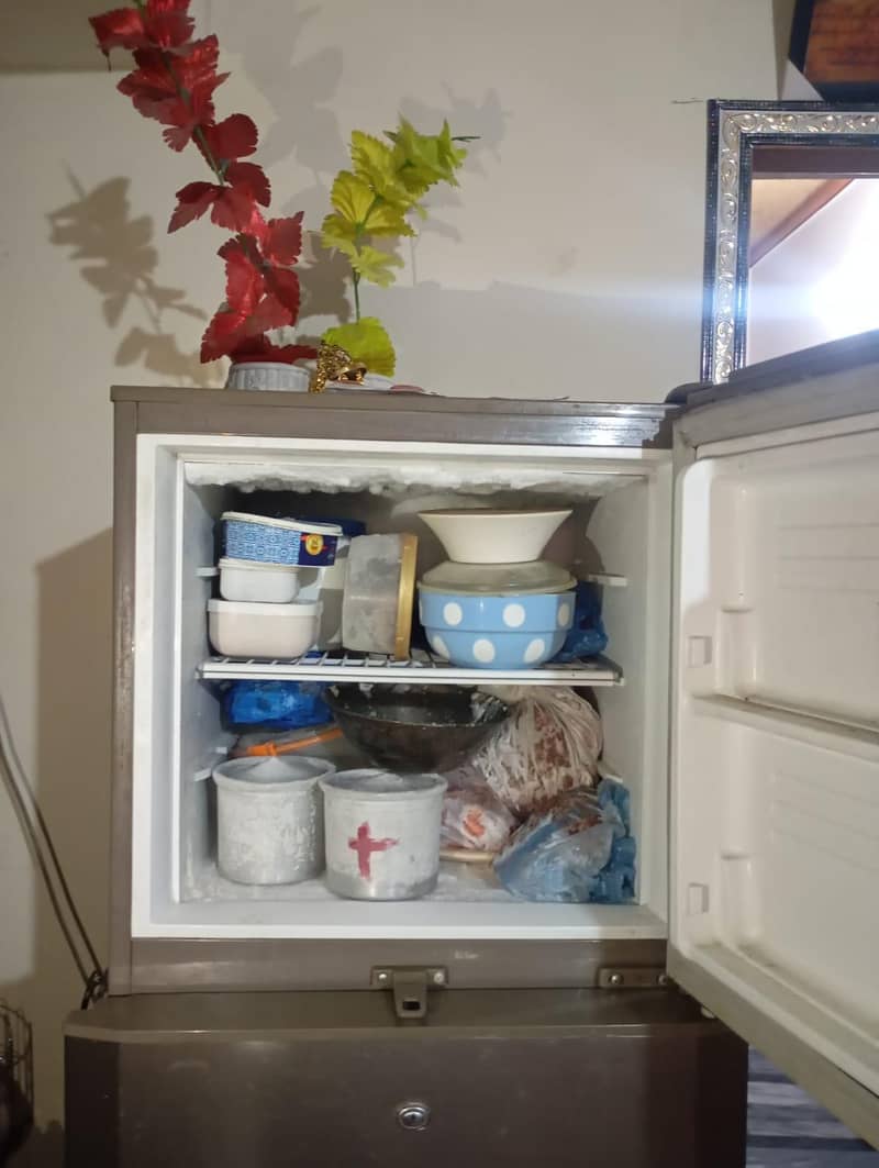 PEL REFRIGERATOR 4
