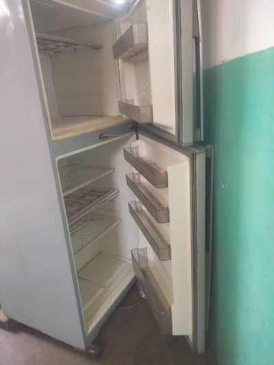 combo fridge