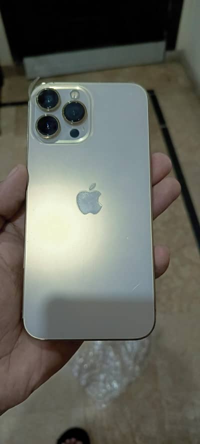 Apple iPhone 13 Pro Max