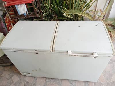 Waves d freezer