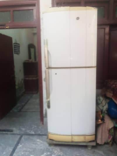 Jambo exalsize  frej pell