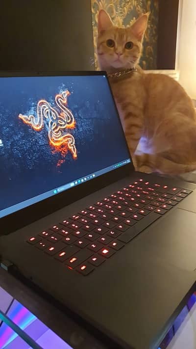 Gaming Laptop razer blade