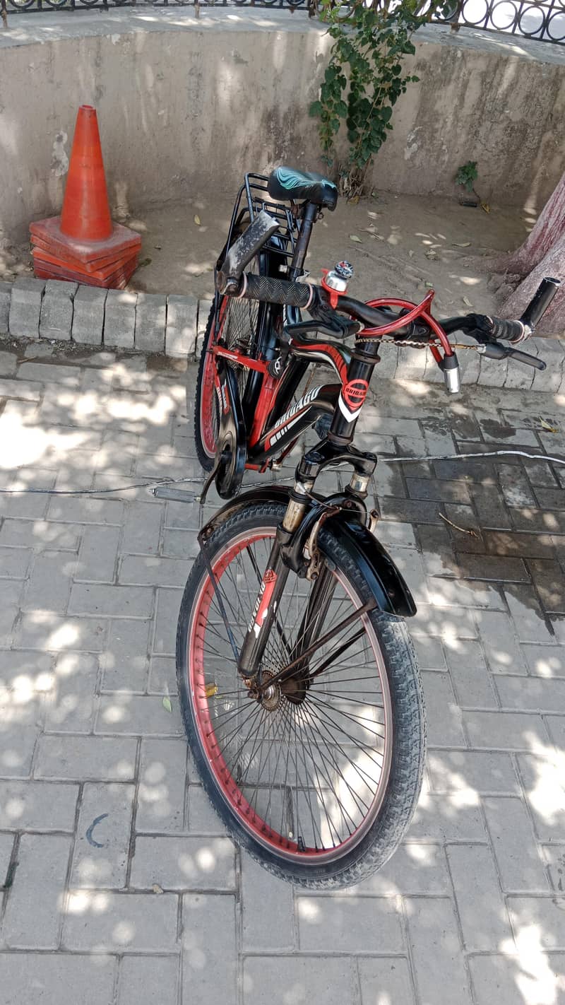 Good looking cycle 3