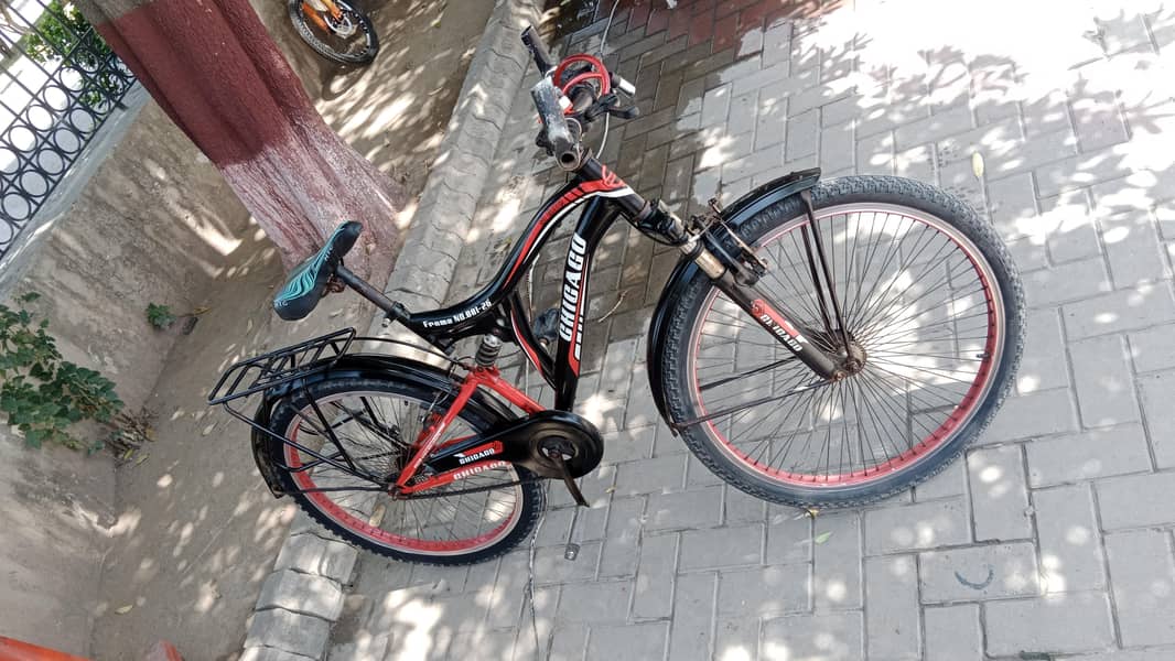 Good looking cycle 4
