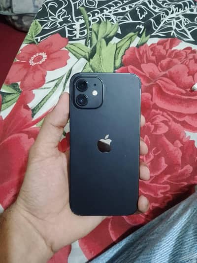 Apple iPhone 12 jv