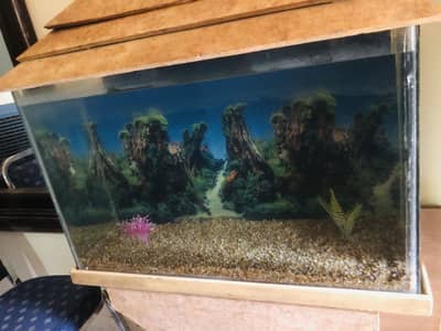 2.6 feet aquarium > Read add