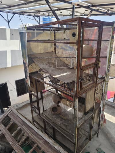 Large Parrot/Tota Cage For Sale – Strong Iron Cage"