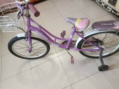 new imported cycle