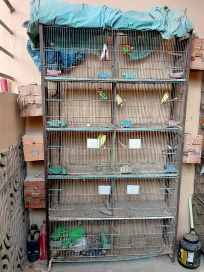 cages