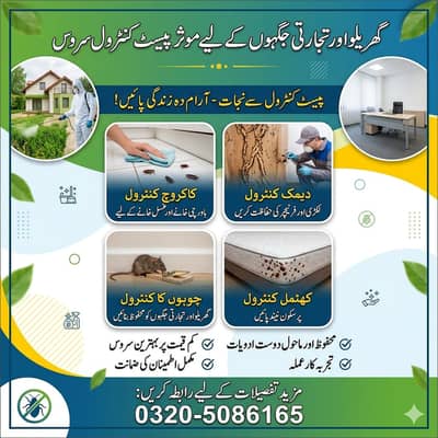 Dengue Spary | Termite Control | Deemak spray |Fumgation|Pest control