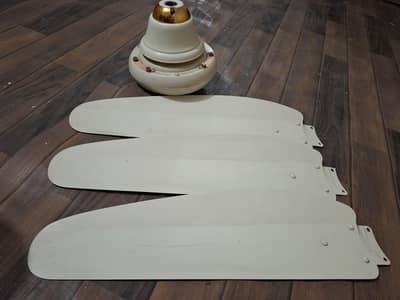 Fan ( Chanab company)