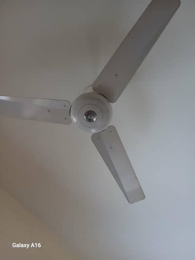 excellent quailty fan