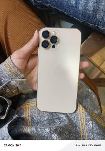Apple iPhone 12 Pro Max
