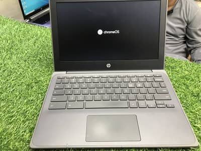 Hp Chromebook