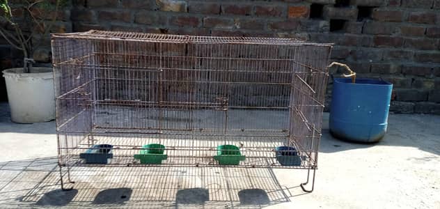 Cage for Hens, Parrots Urgent Sale