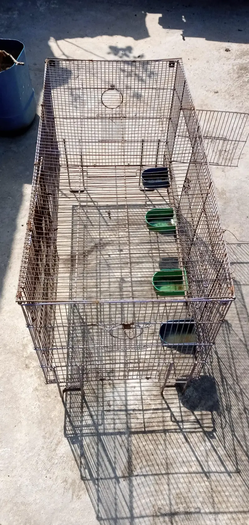 Cage for Hens, Parrots Urgent Sale — photo 4