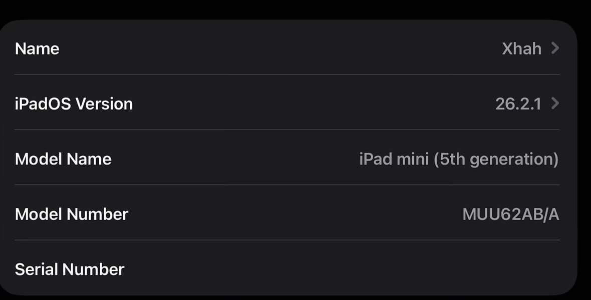 Ipad mini5 5