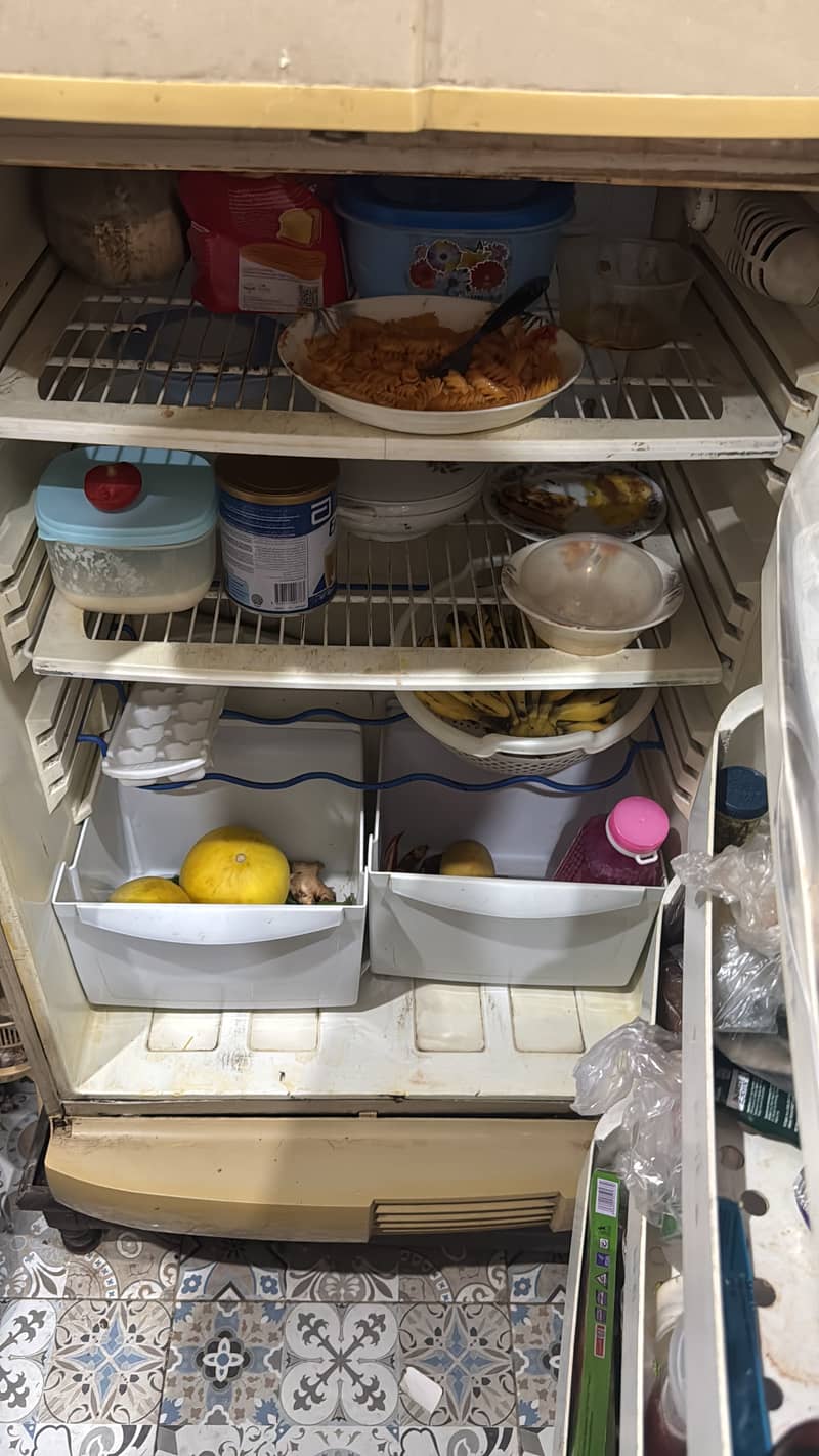 PEL Fridge 1