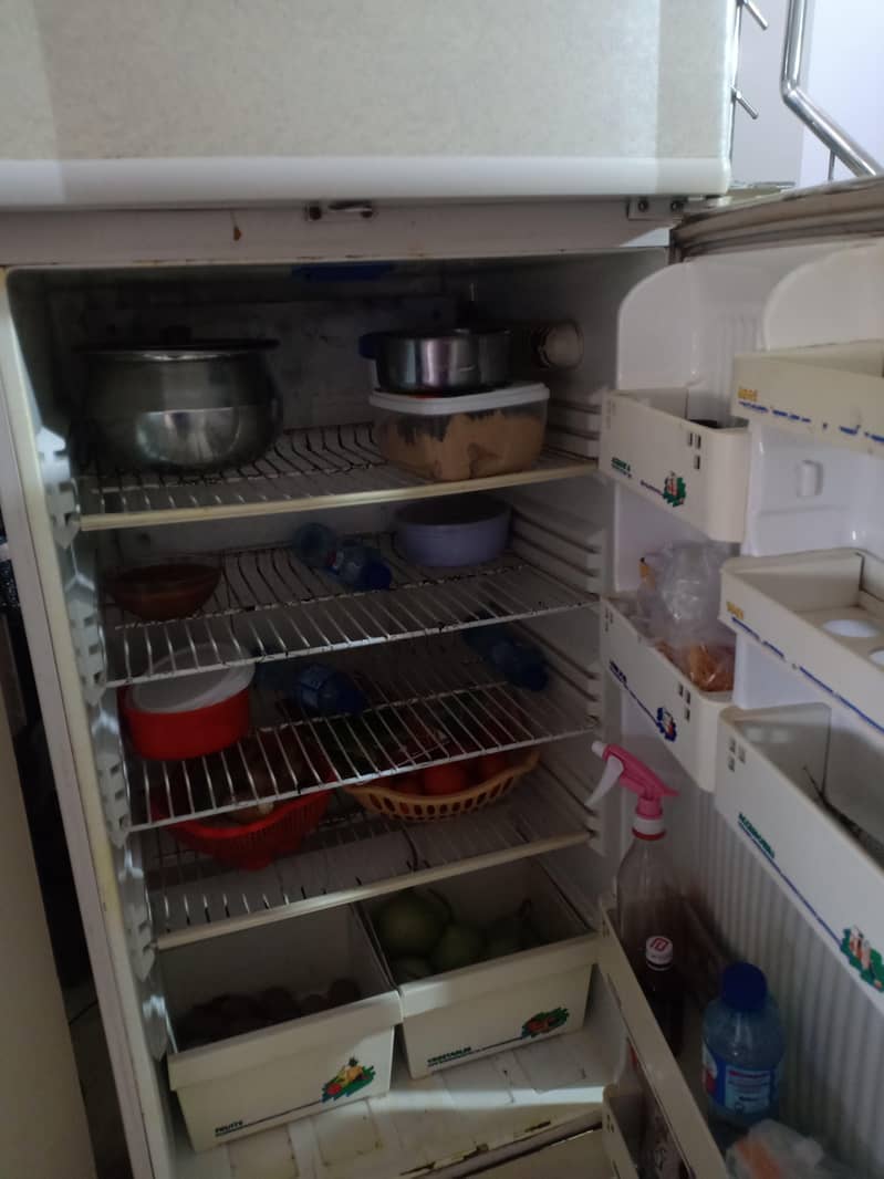 fridge 2