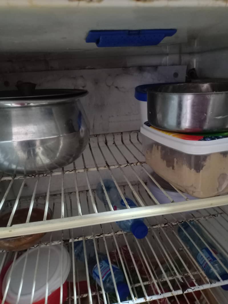 fridge 3