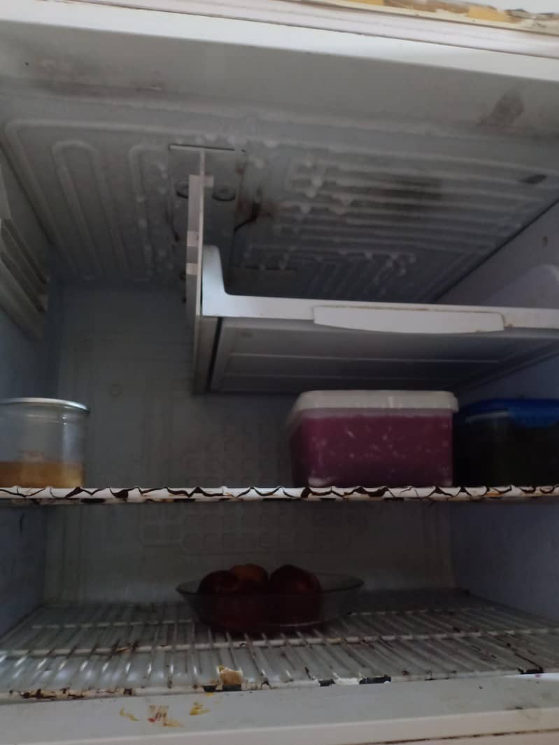 fridge 4