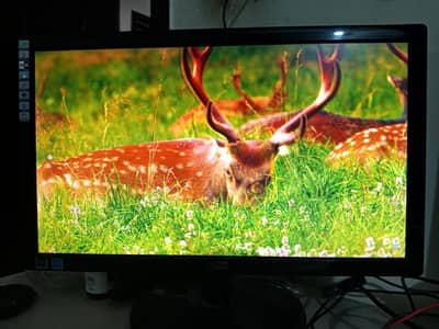 AOC 20” LED Monitor E943Fwsk – Pristine Condition
