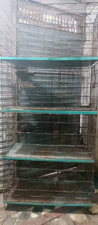 8 portion cage