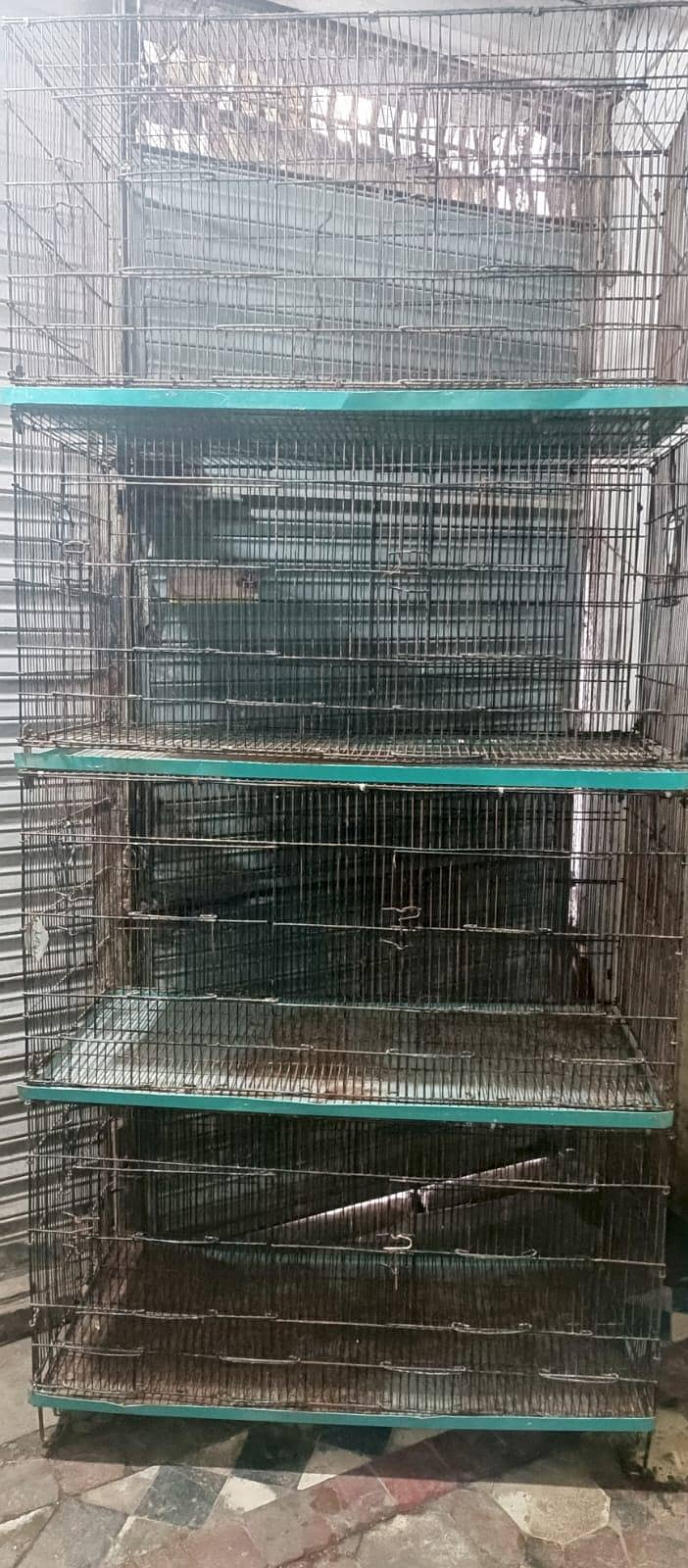 8 portion cage 1