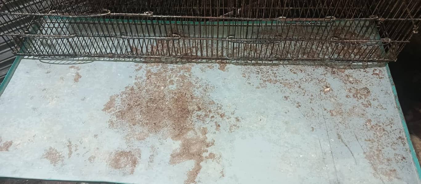 8 portion cage 3
