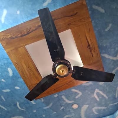 Royal Fan
