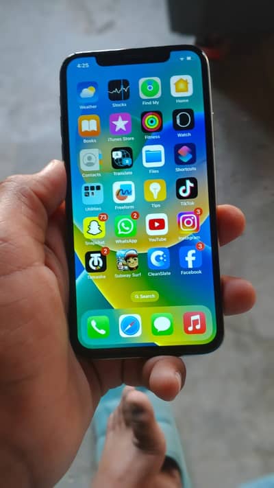 Apple iPhone X