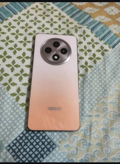 OPPO Reno12f 5g full box screen pa halki si line h condition 10 by 9