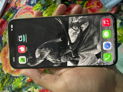 Apple iPhone 13 Pro Max jv