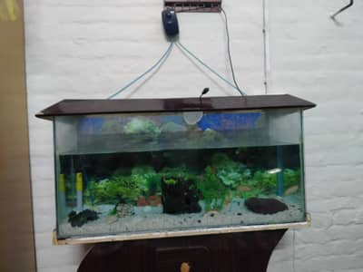 3Ft Aquarium for sale
