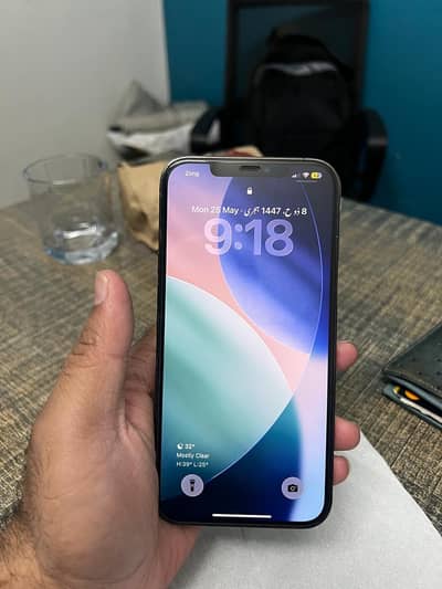 Apple iPhone 12 Pro Max