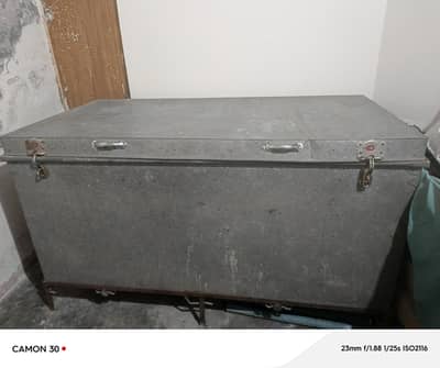 Patti Trunk Medium Size 7