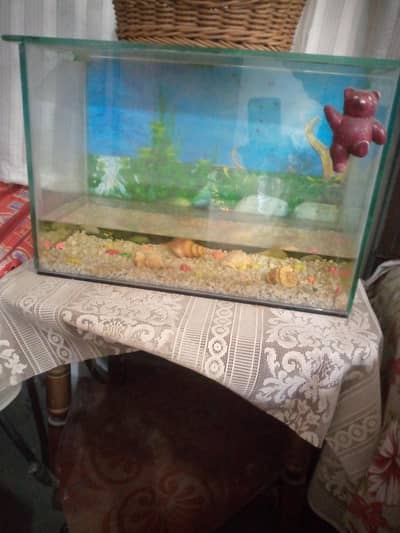 Aquarium for sale
