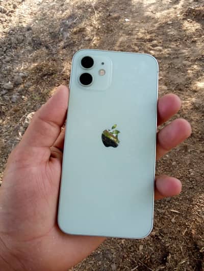 Apple iPhone 12