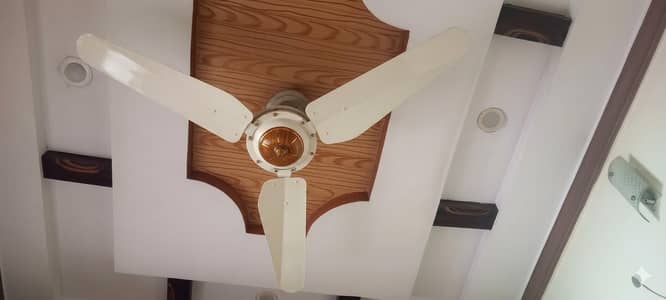 ceiling Fan for sale