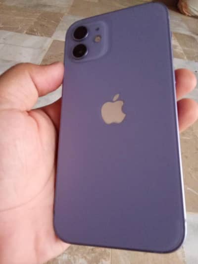 Apple iPhone 12