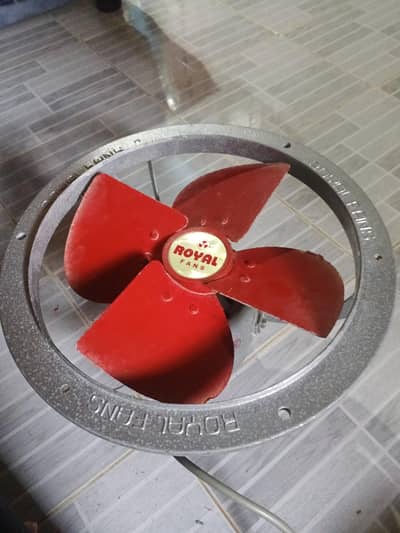 Royal Fans copper