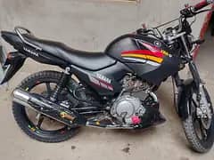 for sale contact number 03057172965