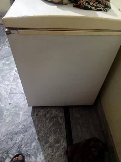 deep freezer / freezer /