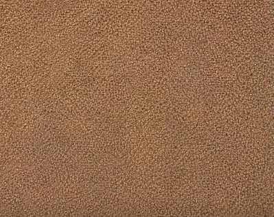 Plain Brown Carpet - 12/14 feet– Good Condition