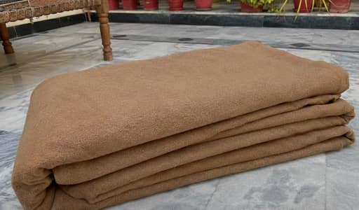 Plain Brown Carpet - 12/14 feet– Good Condition