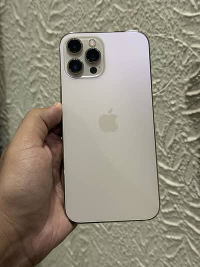 Apple iPhone 12 Pro Max