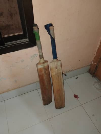 cricket kit with two bats