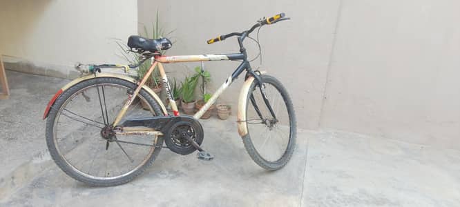 Sport cycle for sell